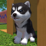Cute Pocket Puppy 3D – Part 2