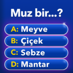 Milyoner – Türkçe Test Oyunu