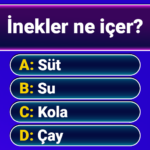 Milyoner 2026: Quiz & IQ Testi