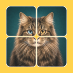 Solitaire Sort — Jigsaw Game